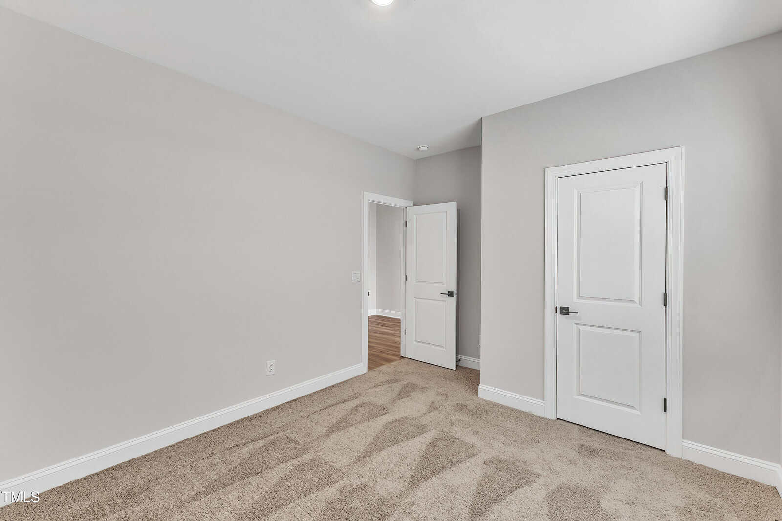 Empty room with beige carpet, light gray walls, and white trim. There are two closed white doors: one leads to a hallway with wood flooring, and the other appears to be a closet. Ceiling light is on.