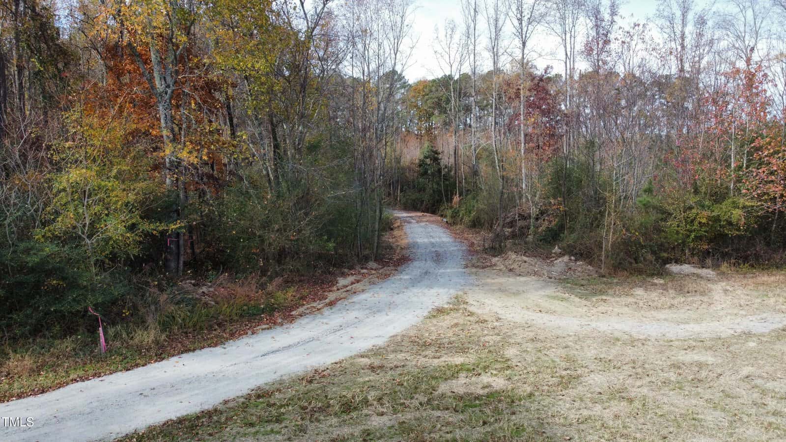 A narrow, unpaved road curves through a wooded area with tall, leafless trees and some fall foliage. The ground beside the road is covered with grass and scattered leaves.