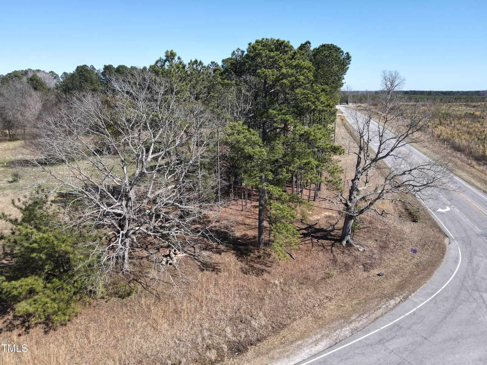 A road with trees and grass.