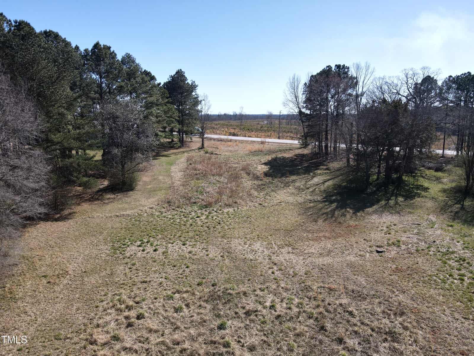 A grassy, open field with scattered trees on both sides, a lightly traveled road in the background, and a clear blue sky overhead. The landscape appears calm and rural.