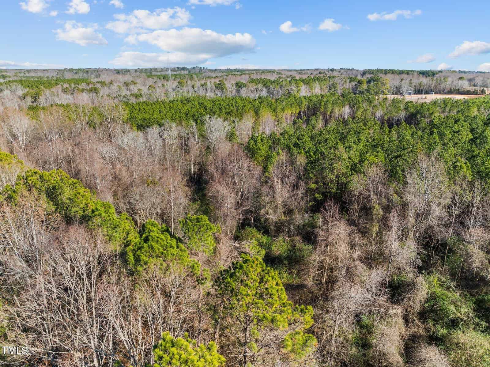 Aerial view of a dense forest with a mix of green pine trees and leafless deciduous trees under a partly cloudy blue sky. The landscape stretches across rolling terrain with no buildings visible.