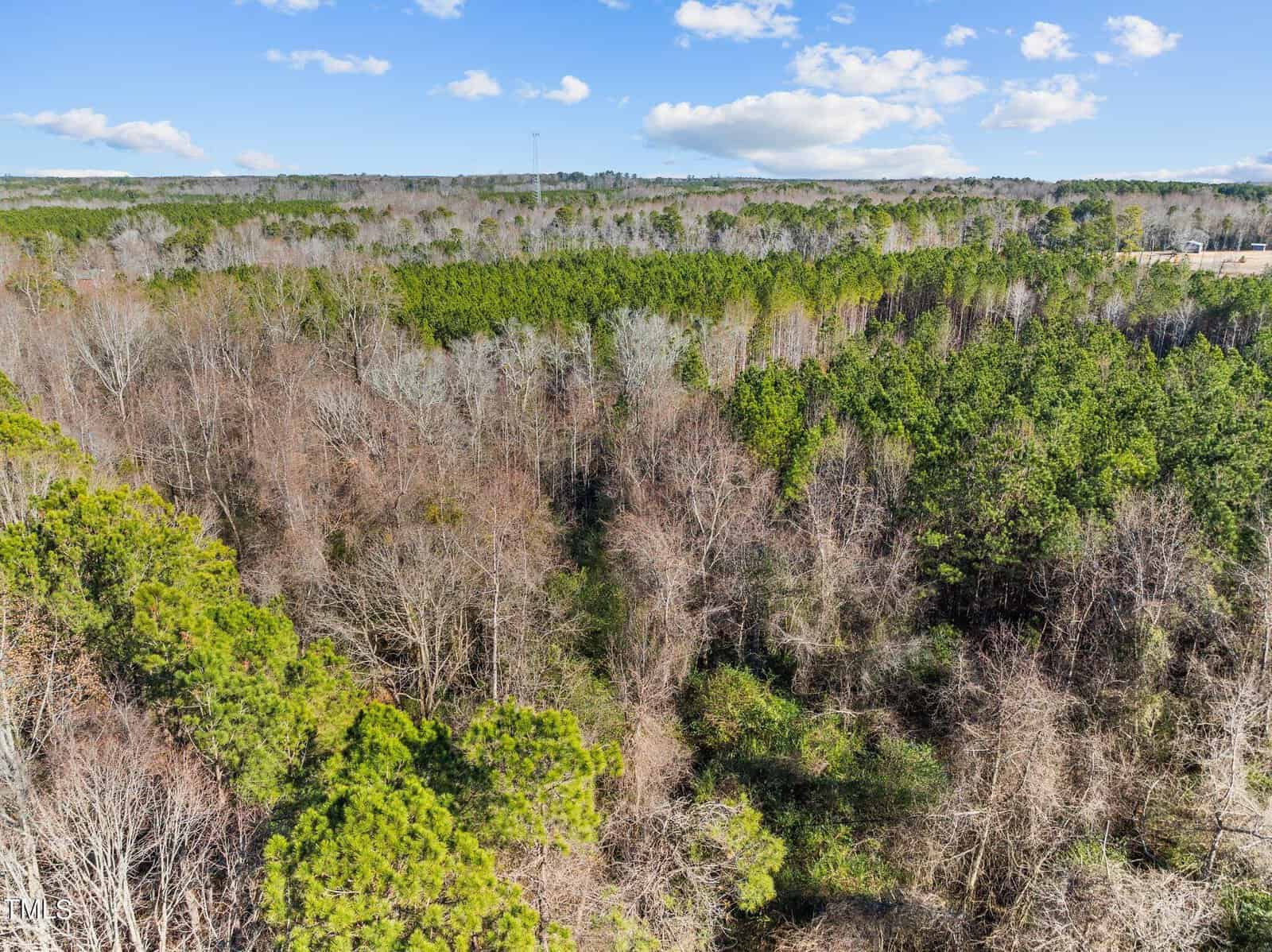 Aerial view of a densely wooded area with a mix of green pine trees and leafless deciduous trees under a partly cloudy sky. A utility tower is visible on the distant horizon.