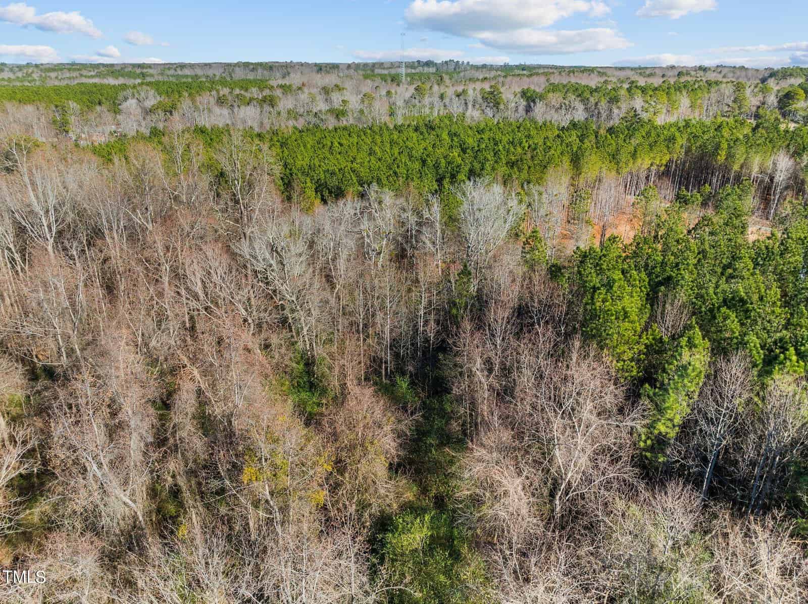 Aerial view of a forested landscape with a mix of leafless deciduous trees and evergreen pine trees under a partly cloudy sky. The terrain appears uneven, and the area is densely covered with trees.