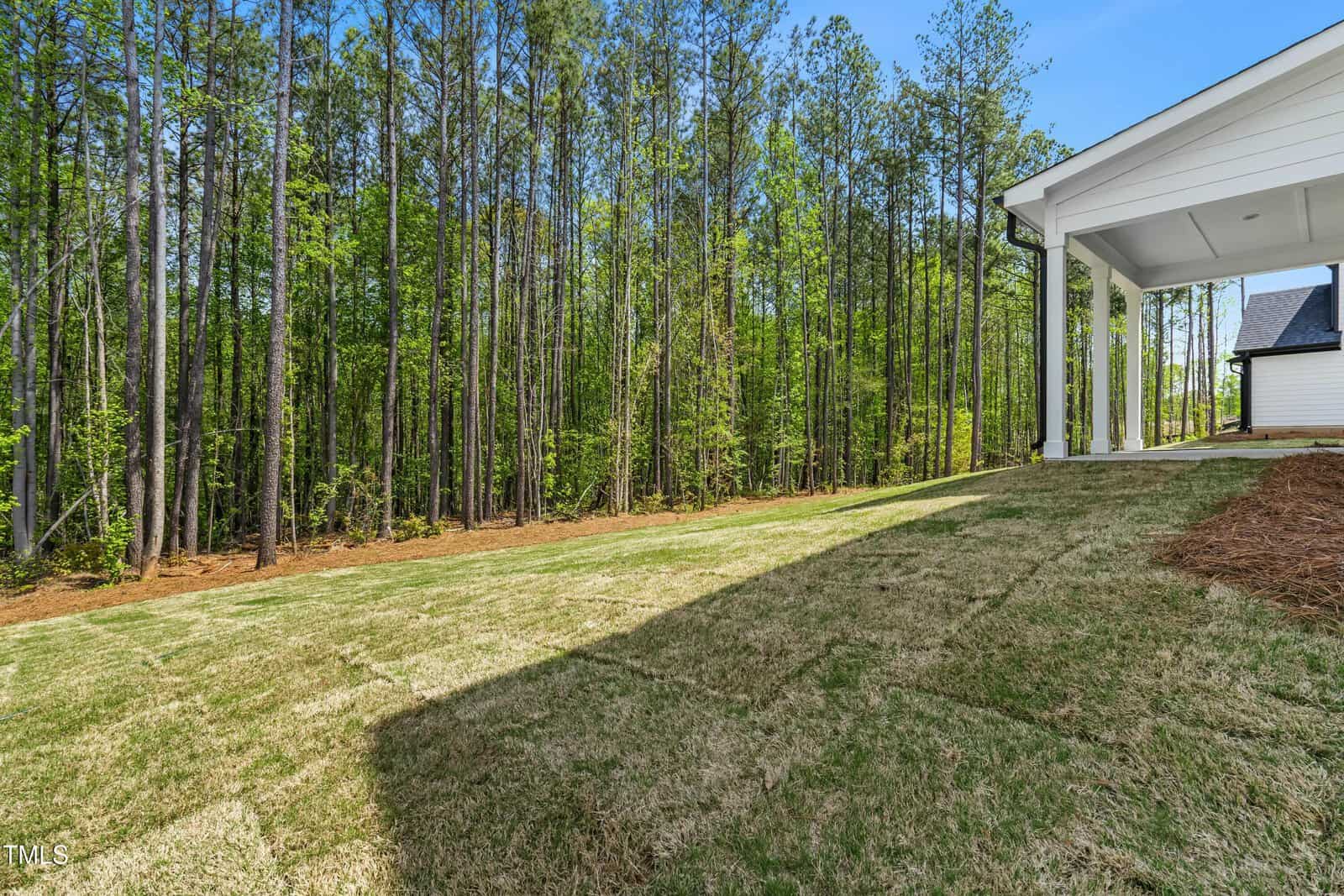 A newly sodded backyard slopes gently toward a dense forest of tall pine trees, next to a white house with a covered patio. The scene is bright and sunny with clear blue sky.
