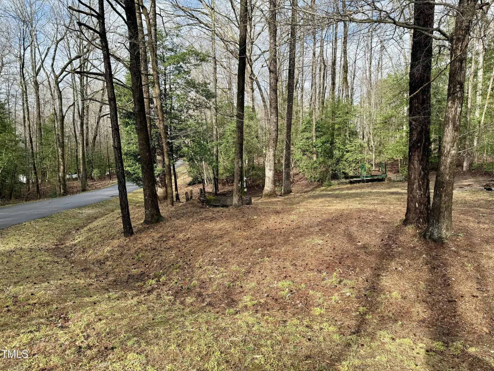 A sloped, grassy area with scattered trees and patches of bare ground is shown next to a narrow paved road in a wooded neighborhood on a clear day.
