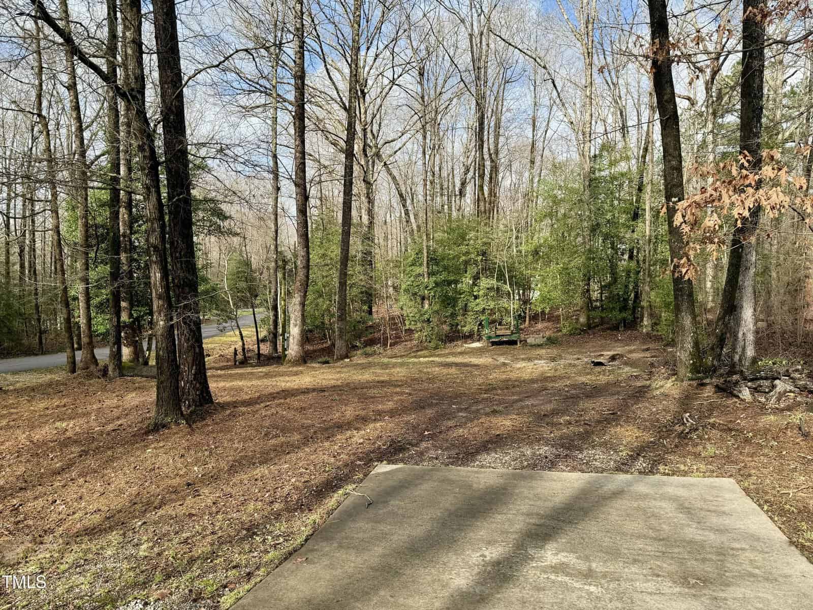 A concrete pad is in the foreground, leading to a dirt path surrounded by bare trees and scattered green shrubs. A bench and fire pit are visible in the wooded area, with a road on the left side.