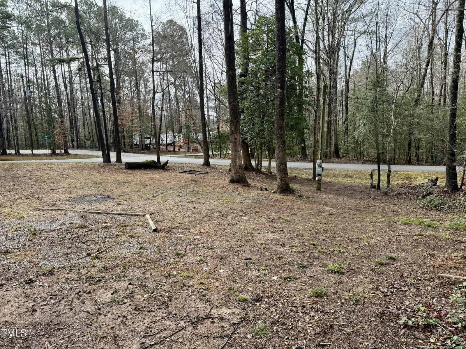 A slightly sloped, mostly bare yard with scattered patches of grass and a few small logs, bordered by tall trees, is shown next to a paved road on a cloudy day.