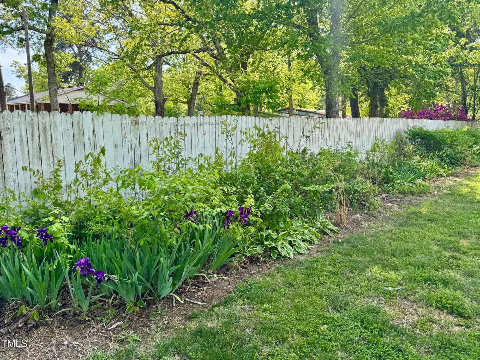 A lush garden with purple irises and various green plants lines a white wooden fence. Tall trees and thick foliage are visible in the background, under a bright, sunny sky.