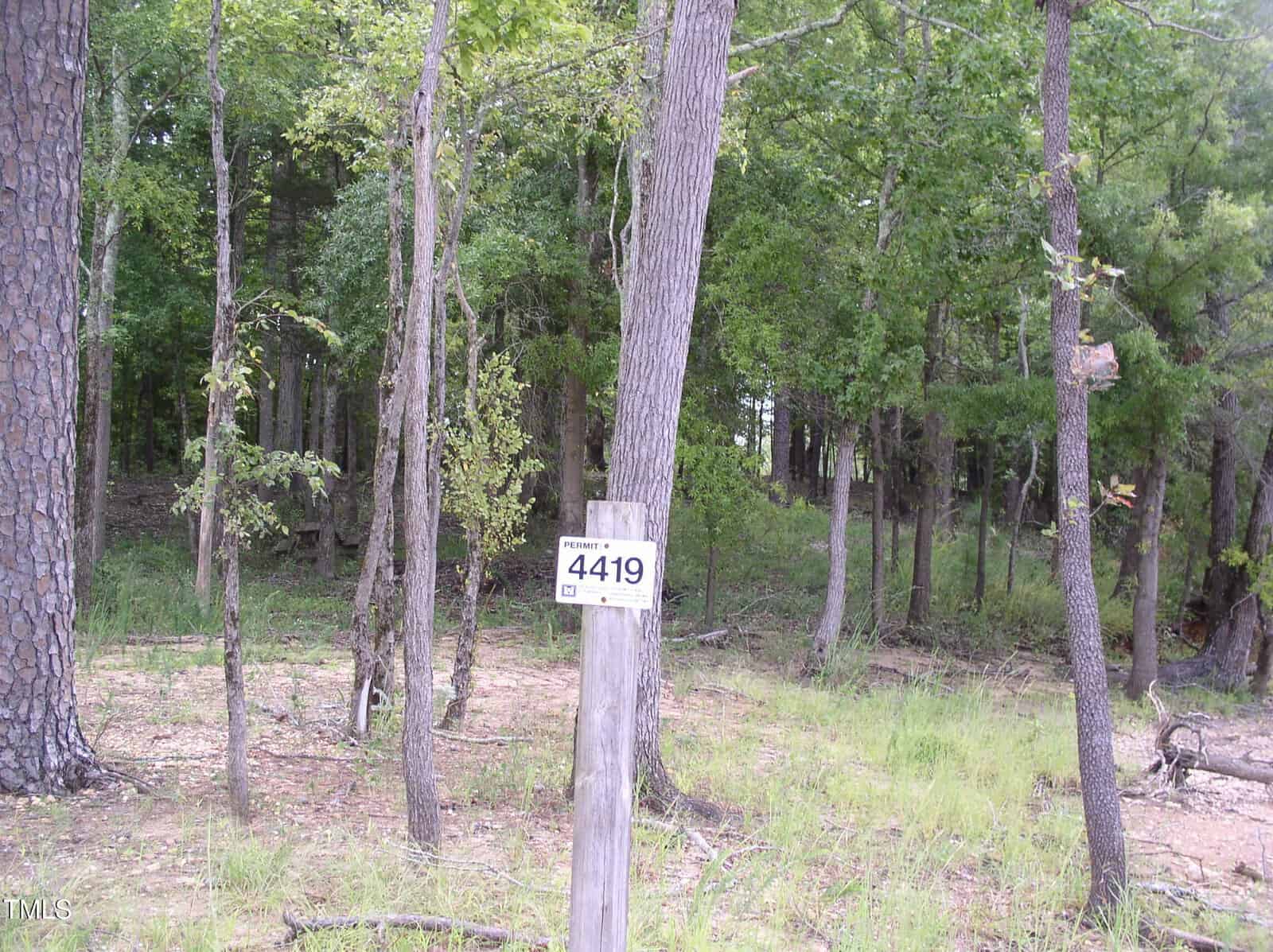 A wooded area with tall trees surrounds a cleared path. In the foreground, a wooden post displays a sign with the number 4419. The ground is covered with patches of grass, dirt, and scattered debris.