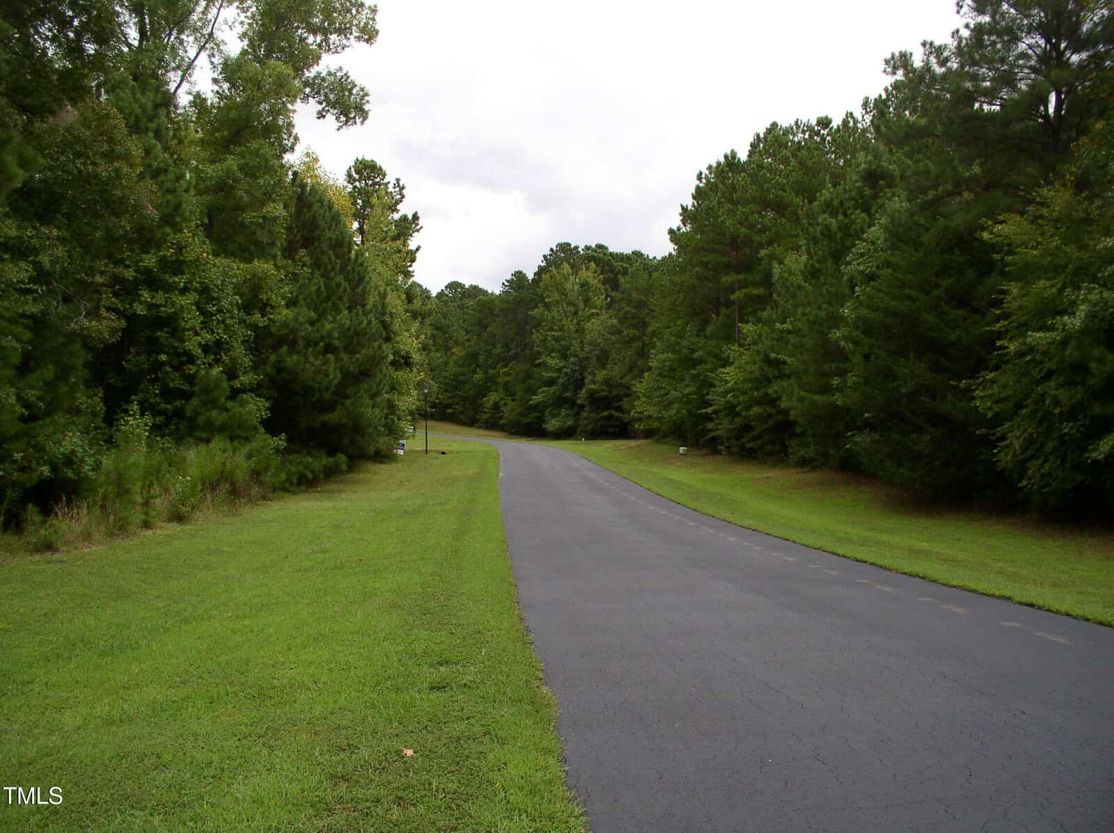 A paved road curves gently to the right, bordered by lush green grass on both sides. Tall, dense trees line the road under a cloudy sky. The scene is serene and natural, conveying a quiet, rural setting.