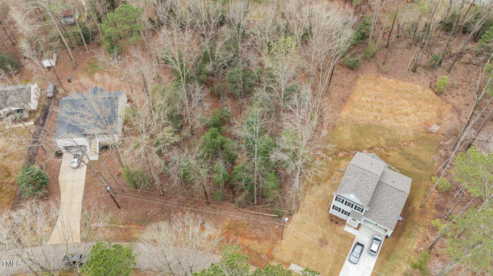 Aerial view of two houses separated by a wooded area. One house has a curved driveway; the other has a straight driveway with two cars. Trees with sparse leaves fill much of the space between the homes.