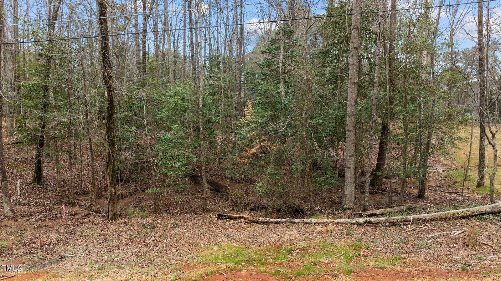 A wooded area at 114 Comanche Drive, Louisburg, features tall, leafless trees, dense green shrubs, and a fallen tree trunk on the ground. The foreground shows brown leaves and patches of grass, with a wire visible overhead.
