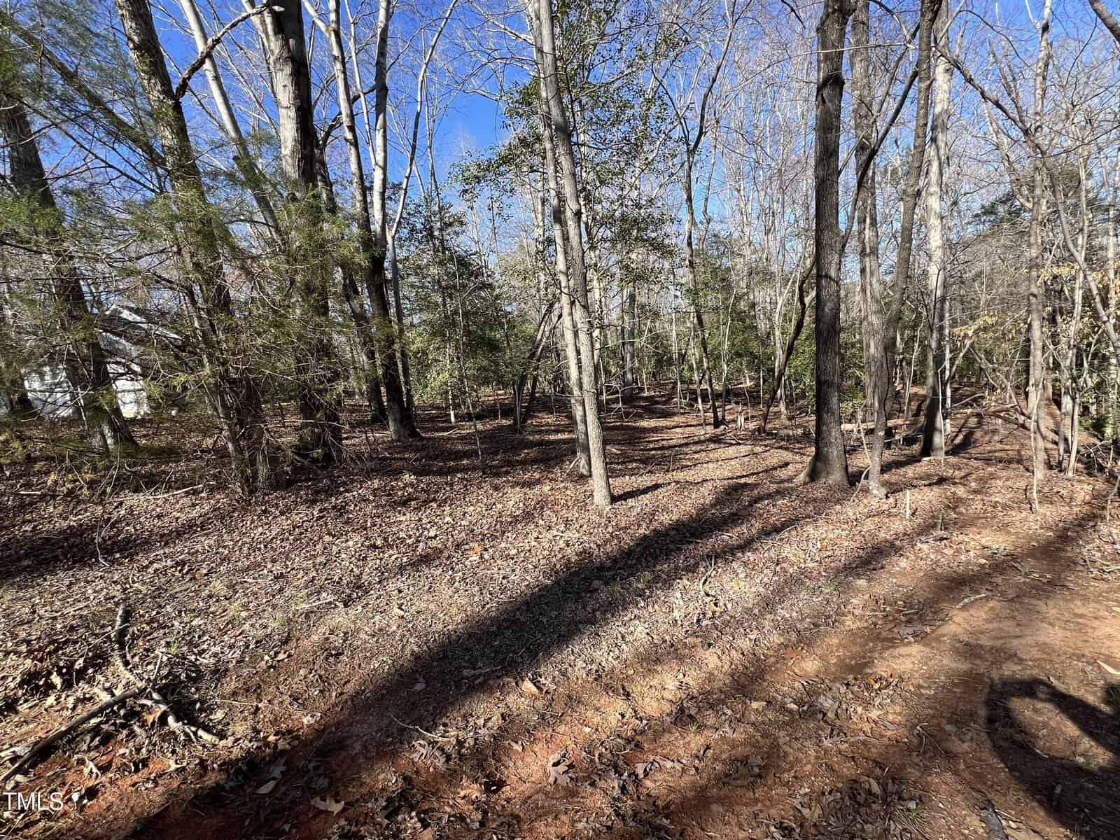 A wooded area with sparse underbrush and mostly leafless trees casting shadows on the ground, under a clear blue sky. The forest floor is covered with dry leaves and patches of exposed soil.