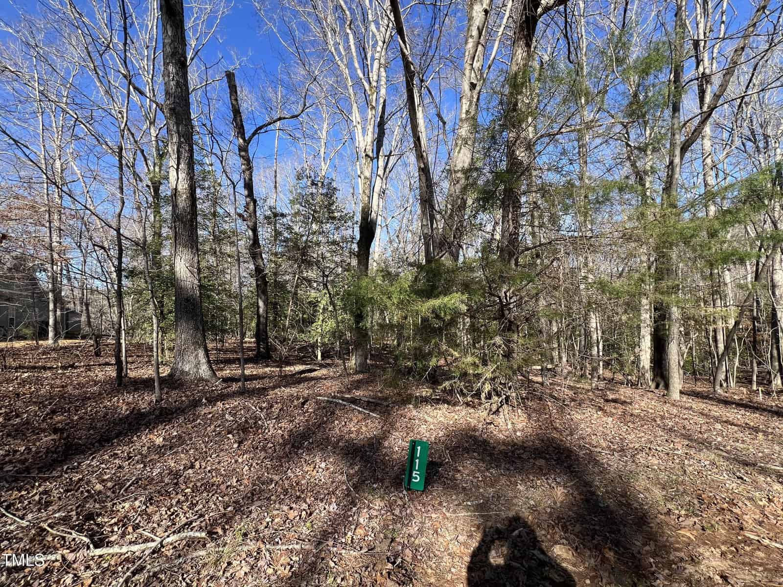 A forest area with leaf-covered ground, tall bare trees, and some green shrubs. A green rectangular marker with white numbers "115" stands upright near the center of the image. The sky is clear and blue.