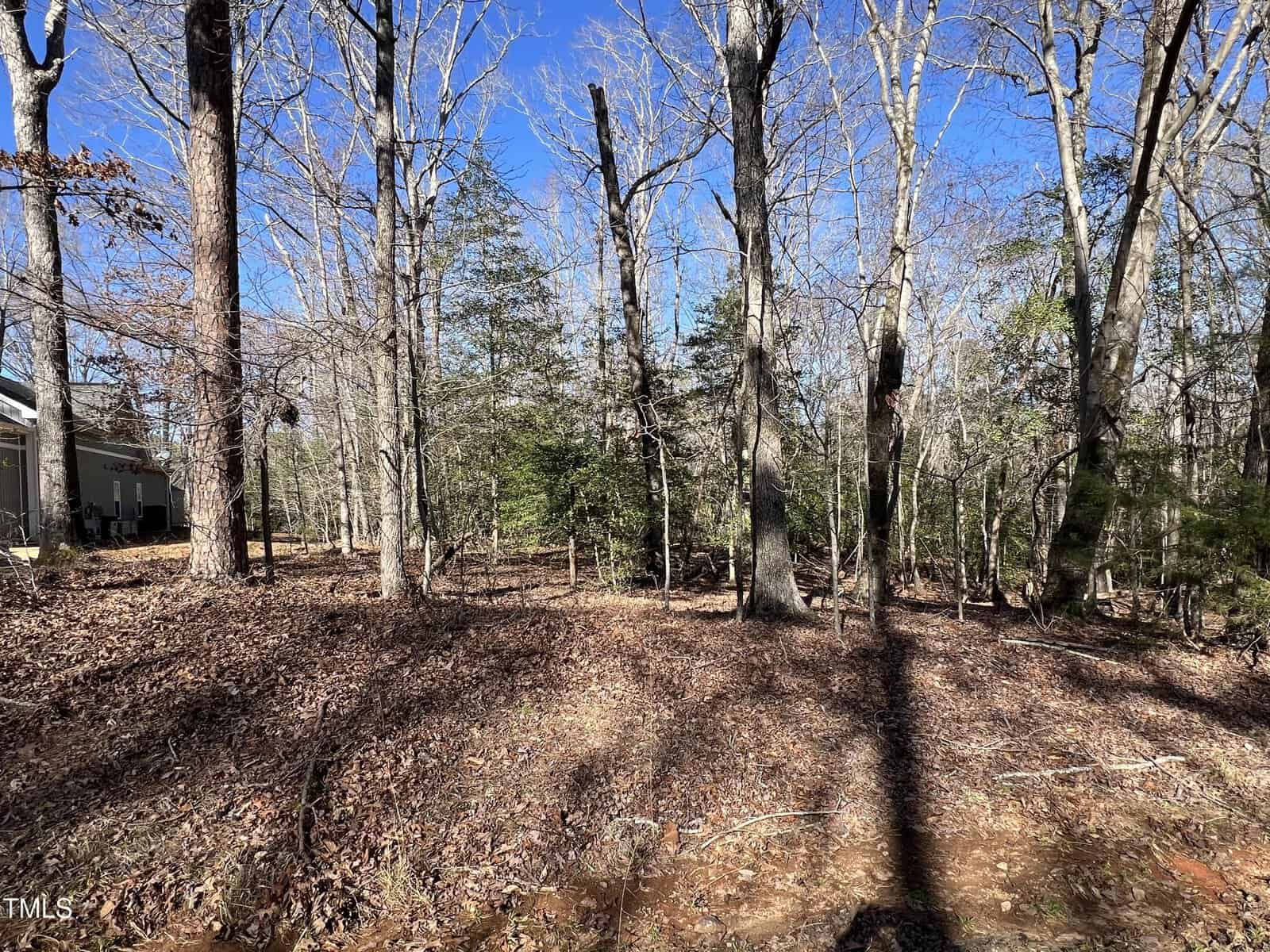 A wooded area with tall trees, bare branches, and scattered leaves on the ground. A house is partially visible on the left side. The sky is clear and blue. Shadows from trees stretch across the scene.