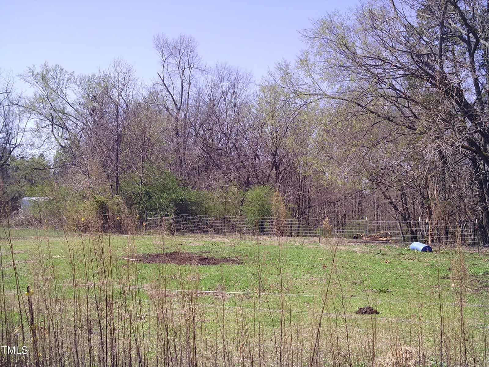 A grassy field with a few patches of bare soil is bordered by a wire fence and dense, leafless trees. A small blue object is located near the right side of the image. Sparse shrubs dot the landscape under a clear blue sky.