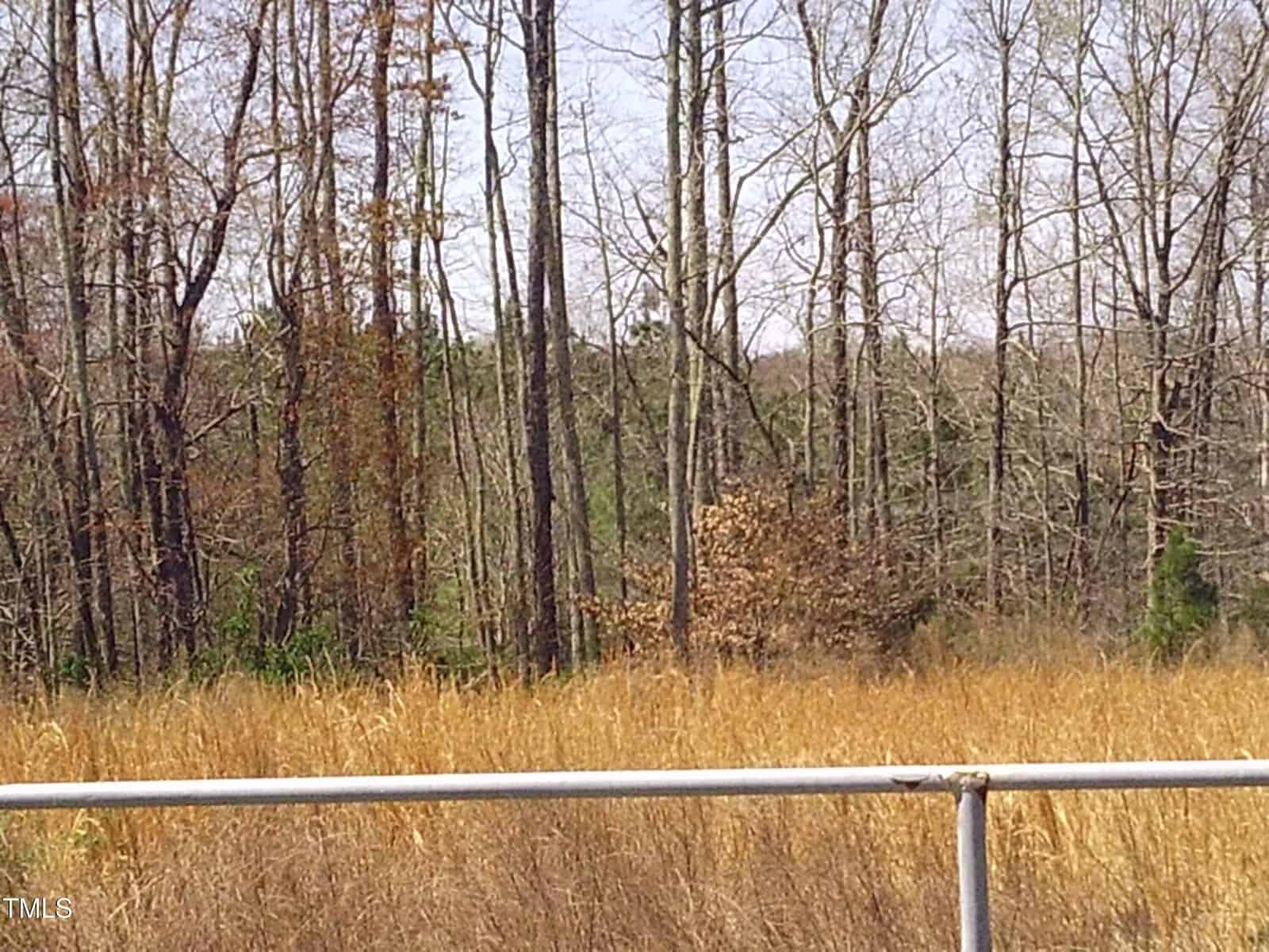 A scene of a field with tall, dry grass and a backdrop of leafless trees. The sky is clear and blue. A metal railing runs horizontally in the foreground.
