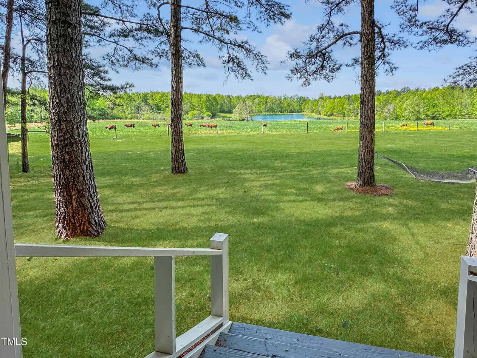 View from the shaded porch at 480 Deer Hollow reveals a grassy backyard with scattered trees, a hammock, a wooden fence, grazing bullock and cows, plus a distant pond bordered by green trees beneath a partly cloudy sky.
