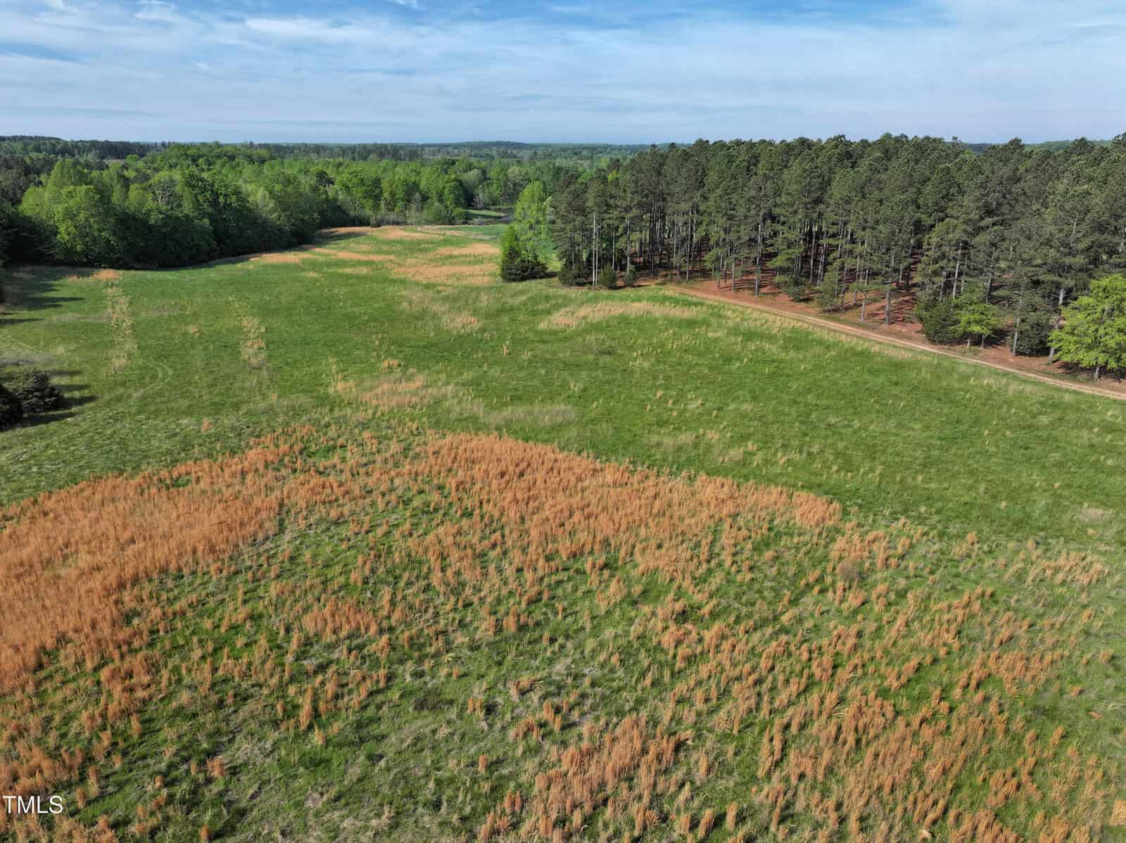 Aerial view of a grassy field with patches of brown vegetation, bordered by a forest of tall pine trees under a blue sky with scattered clouds.