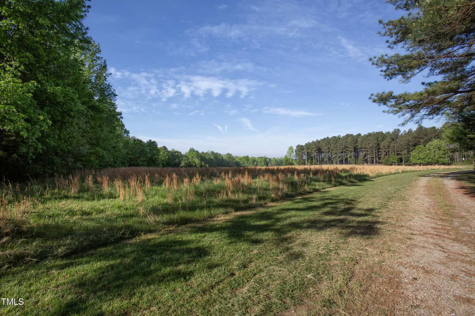 A grassy path runs alongside a field with tall brown grass, bordered by dense green trees under a blue sky with scattered clouds on a sunny day.
