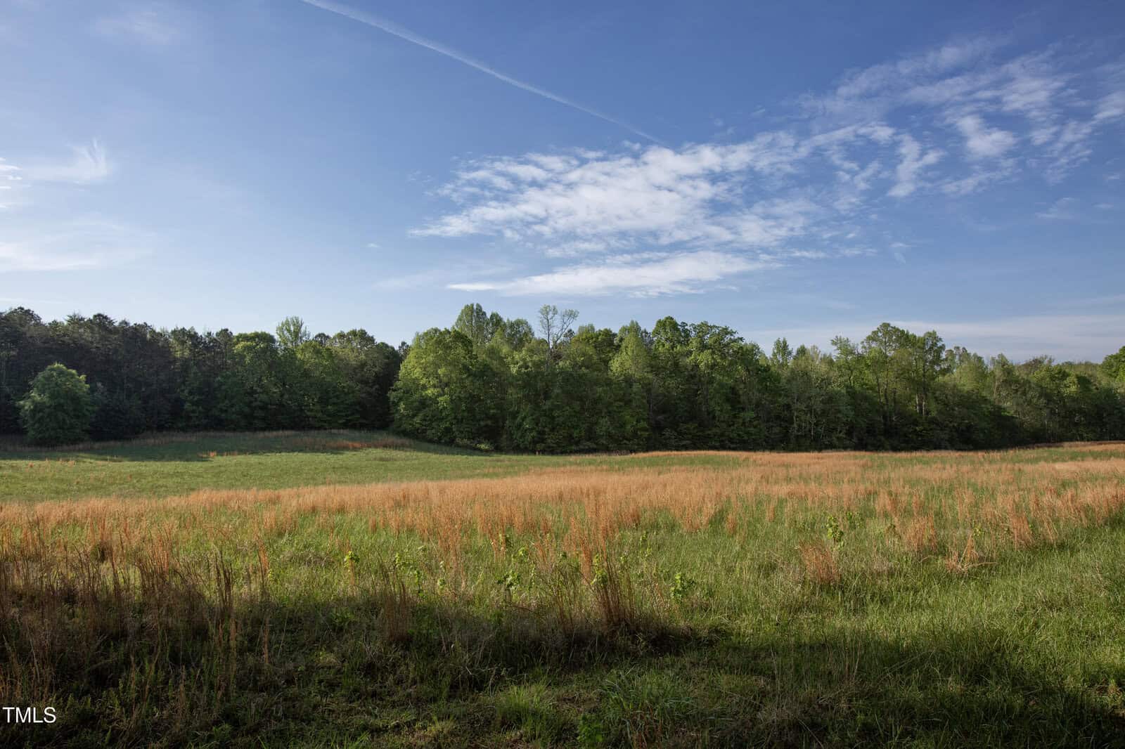 A grassy field with tall, dried grass in the foreground and a line of green trees in the background under a blue sky with scattered clouds.