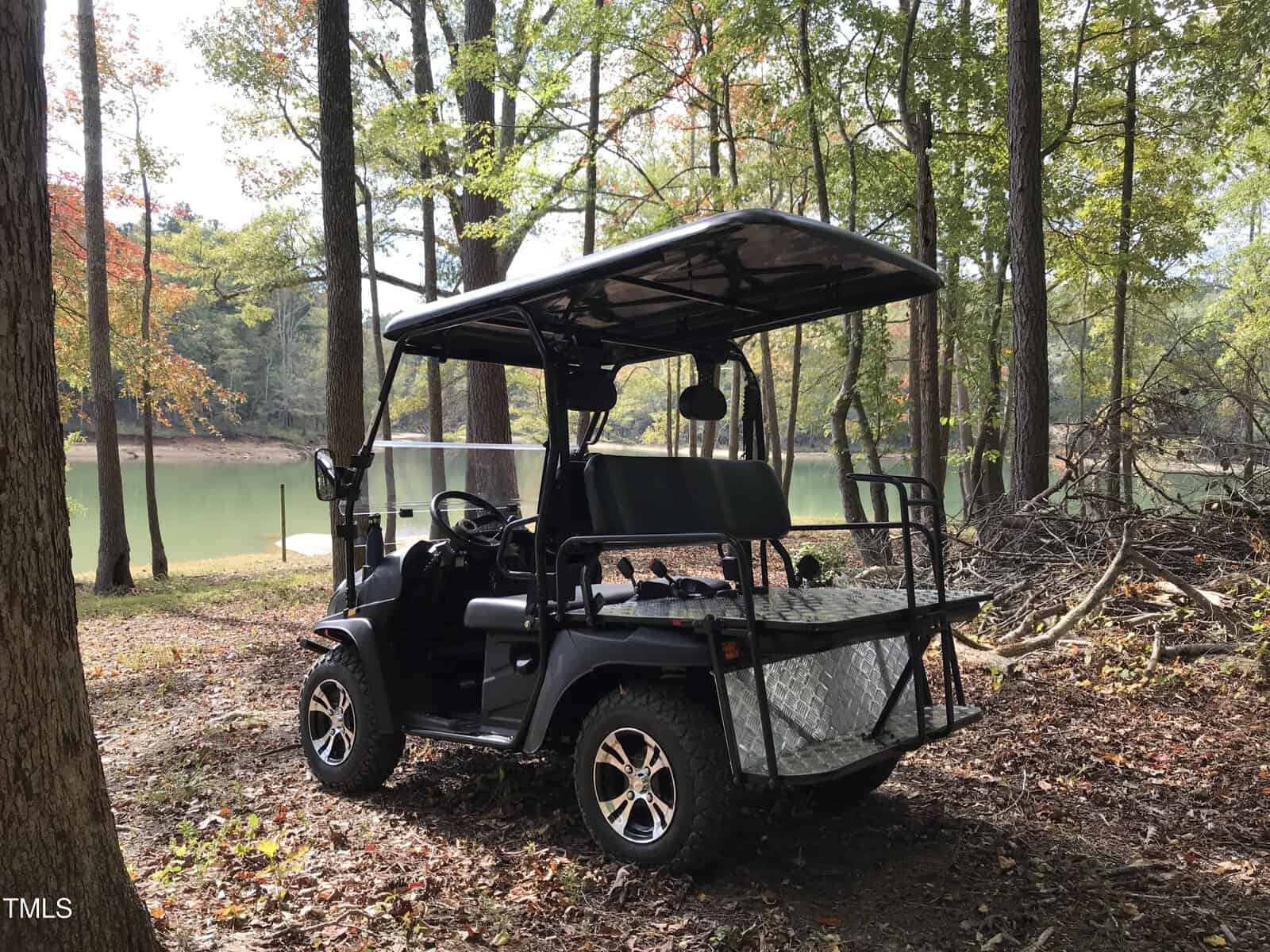A black golf cart is parked in a wooded area near a green lake. The cart is situated on a bed of dry leaves with trees surrounding it and has an open utility back. The lake is calm, and the trees have a mix of green and autumn leaves.
