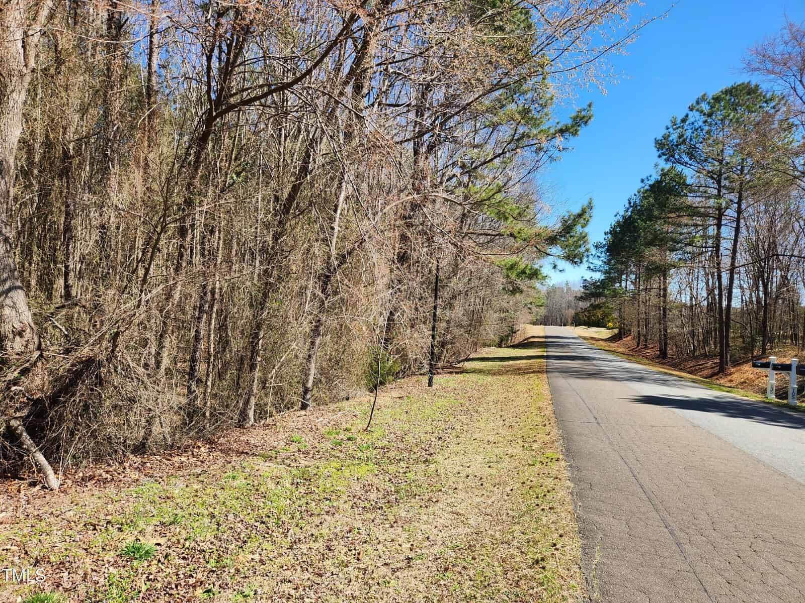 A paved road runs alongside a wooded area with leafless trees and scattered evergreens under a clear blue sky. The ground beside the road is covered with brown leaves and patchy grass.