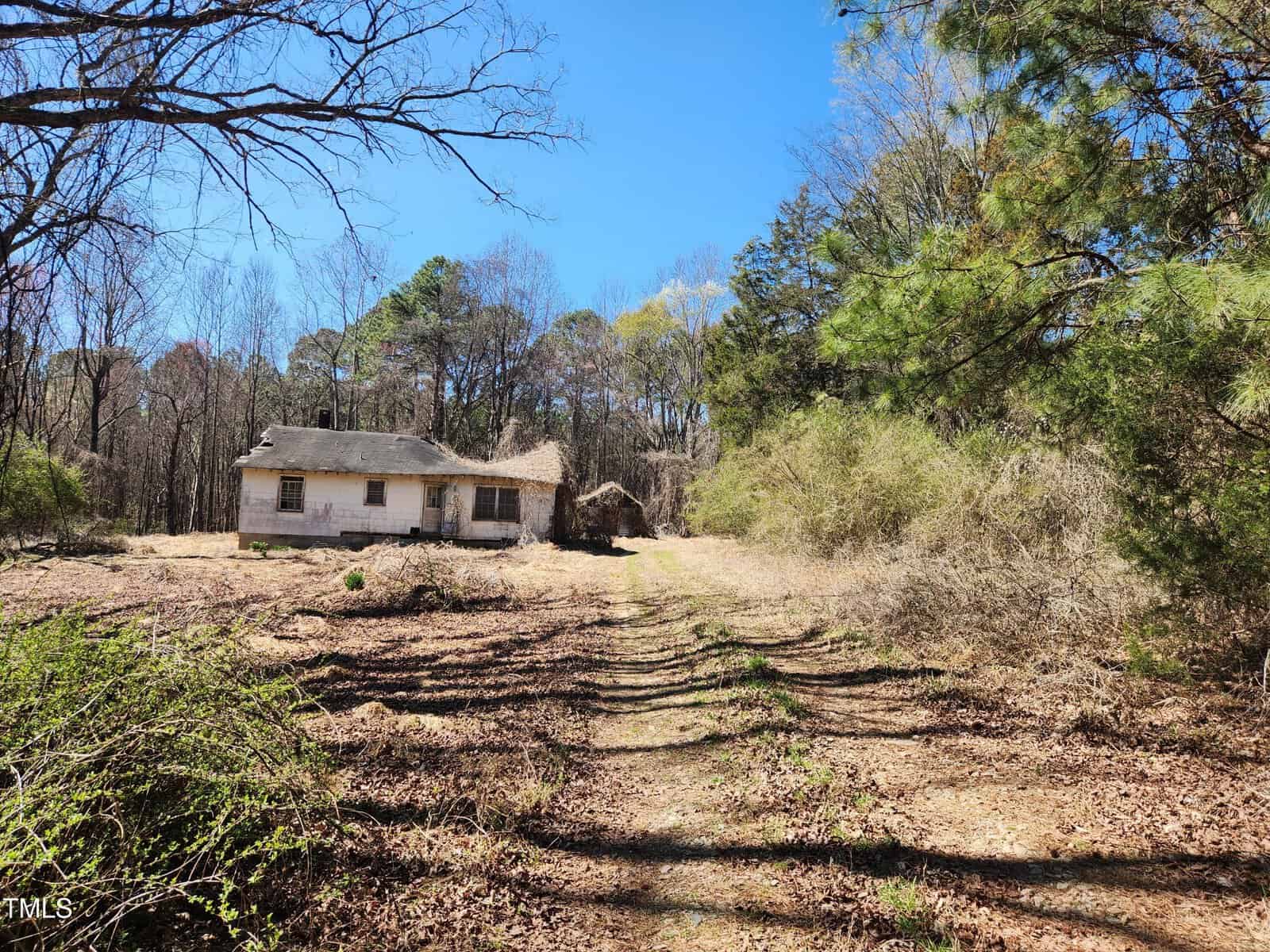 A small, white, abandoned house with a damaged roof sits among leafless trees and overgrown vegetation under a clear blue sky. A dirt path leads toward the house.