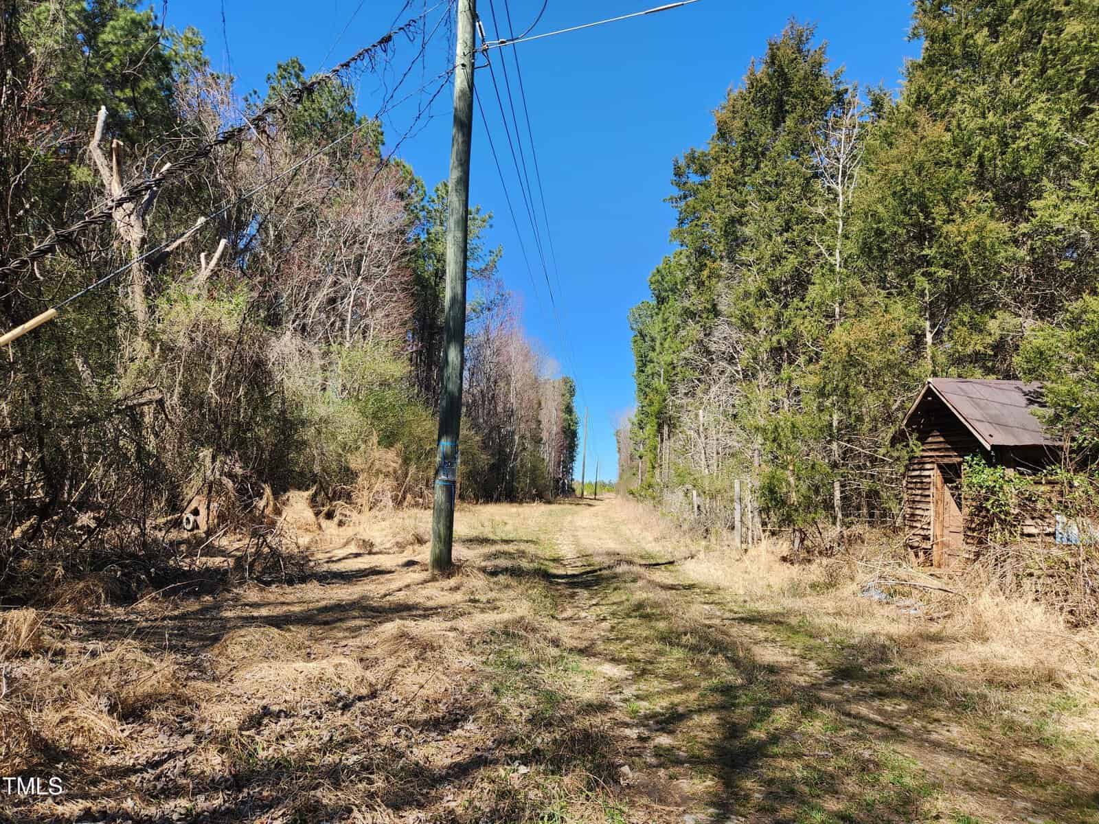 A dirt path bordered by tall trees runs beneath utility lines. There is a small wooden shed with a slanted roof on the right side. Blue sky is visible above.
