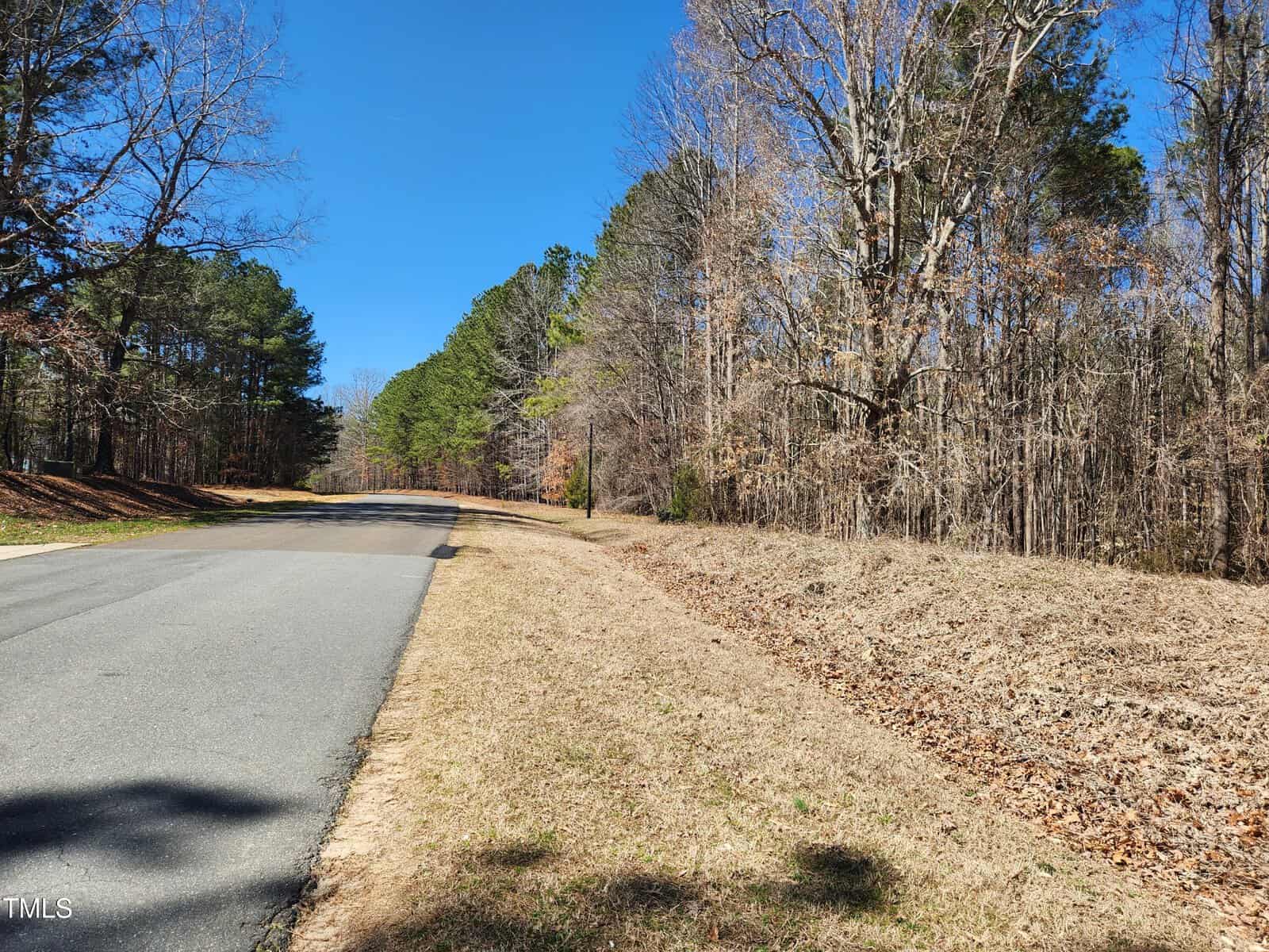 A paved road curves left beside a leaf-covered grassy shoulder and a line of tall trees, some with sparse winter foliage, under a clear blue sky.