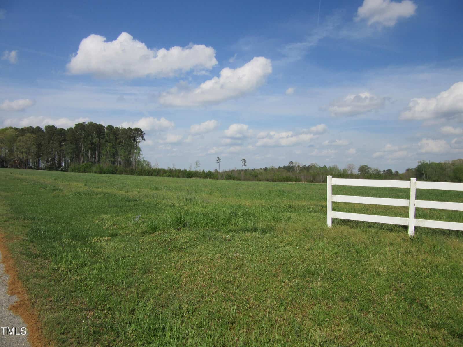 A grassy field stretches under a blue sky with scattered clouds. A small section of white wooden fence is on the right, and a tree line is visible in the background.