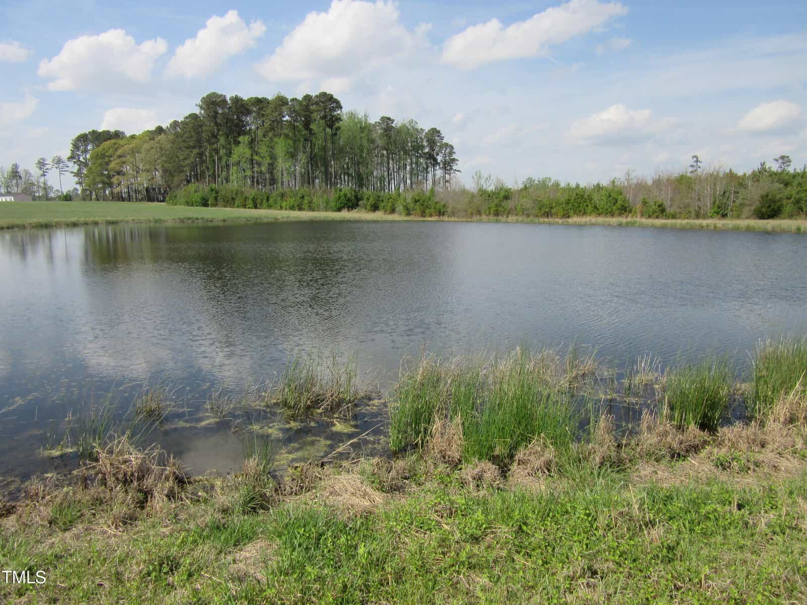 A small pond bordered by grass and reeds with a cluster of trees in the background under a partly cloudy sky.
