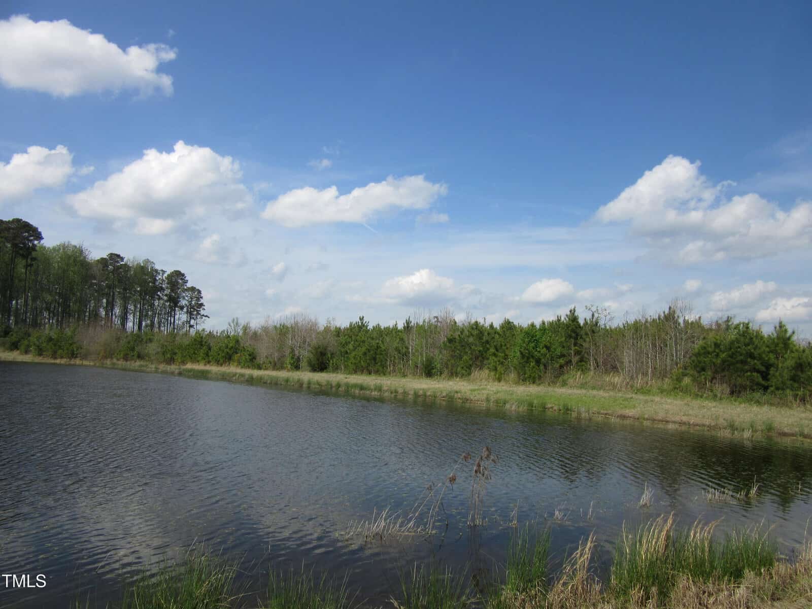 A calm pond bordered by grass and small trees, with a line of taller trees in the background under a blue sky scattered with white clouds.