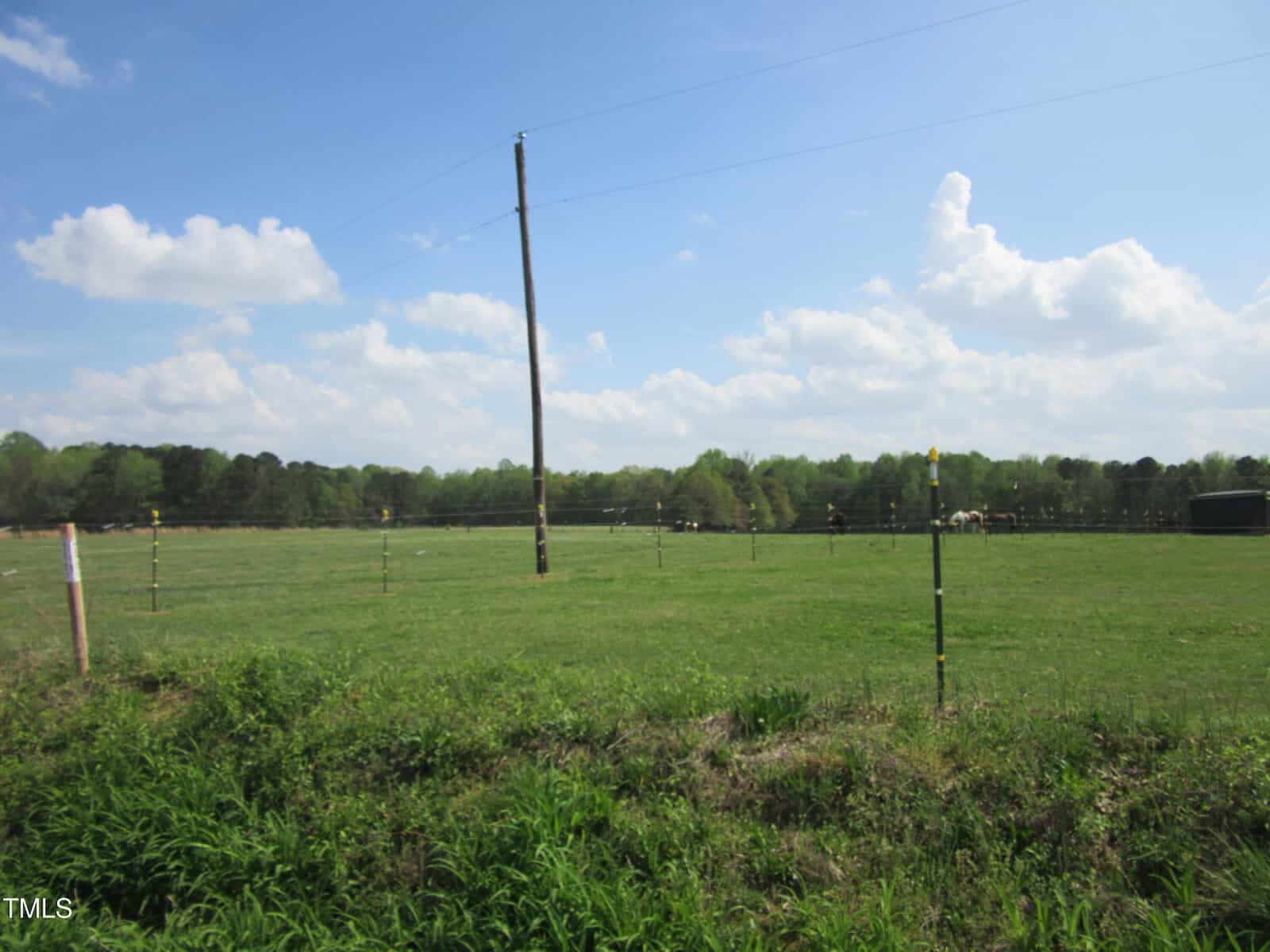 A grassy field with a wire fence, utility pole, and sparse clouds in the blue sky. Trees line the background, and a small structure is visible on the far right.
