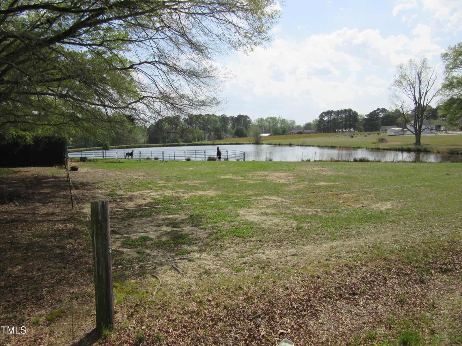 A grassy field with sparse patches, a pond in the background, and a few horses near a fence. Trees border the left side and the sky is partly cloudy.