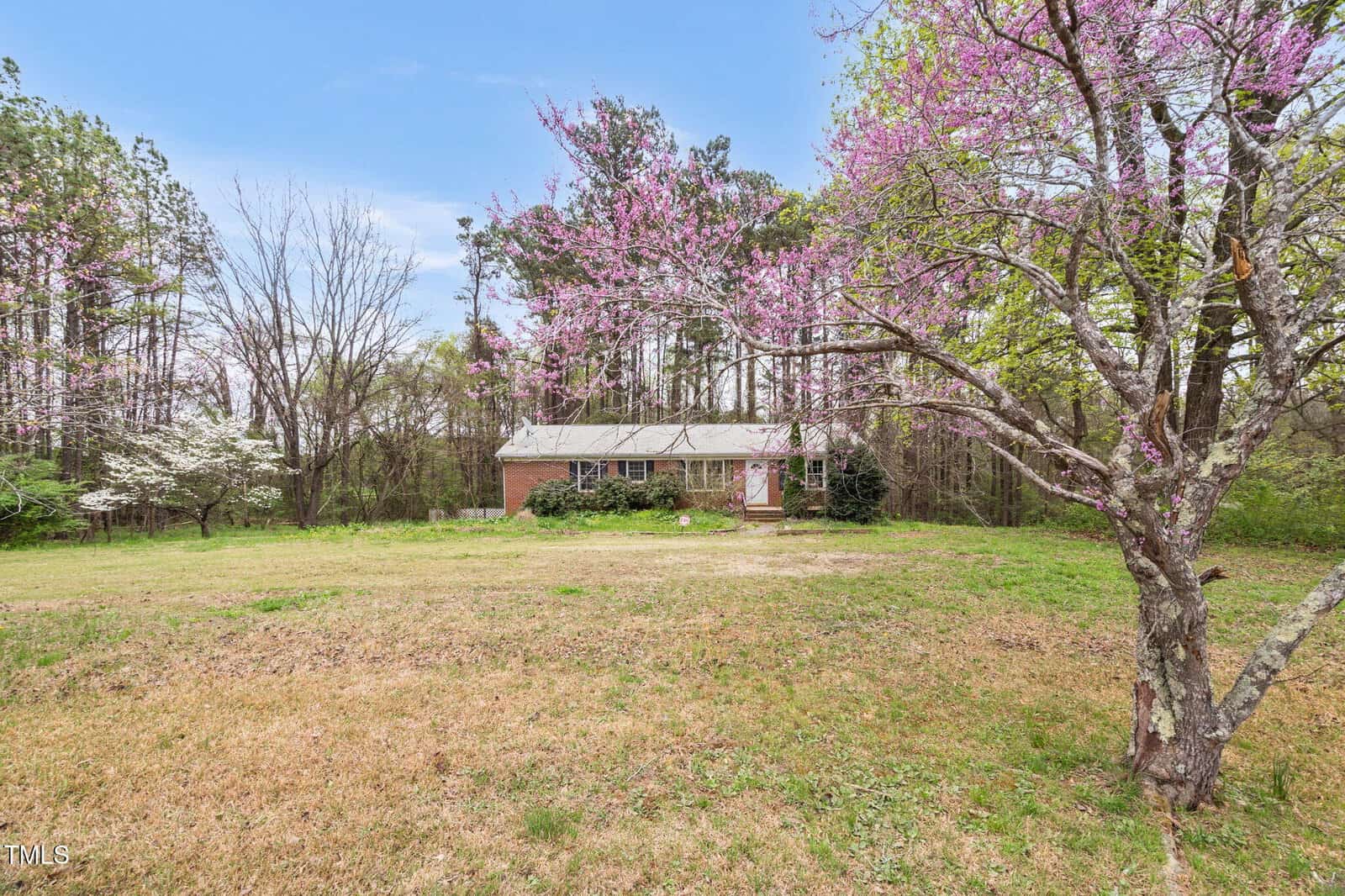 A small brick house is situated in the center of an open yard. A tree with pink blossoms is in the foreground on the right. The background is filled with tall trees under a blue sky.