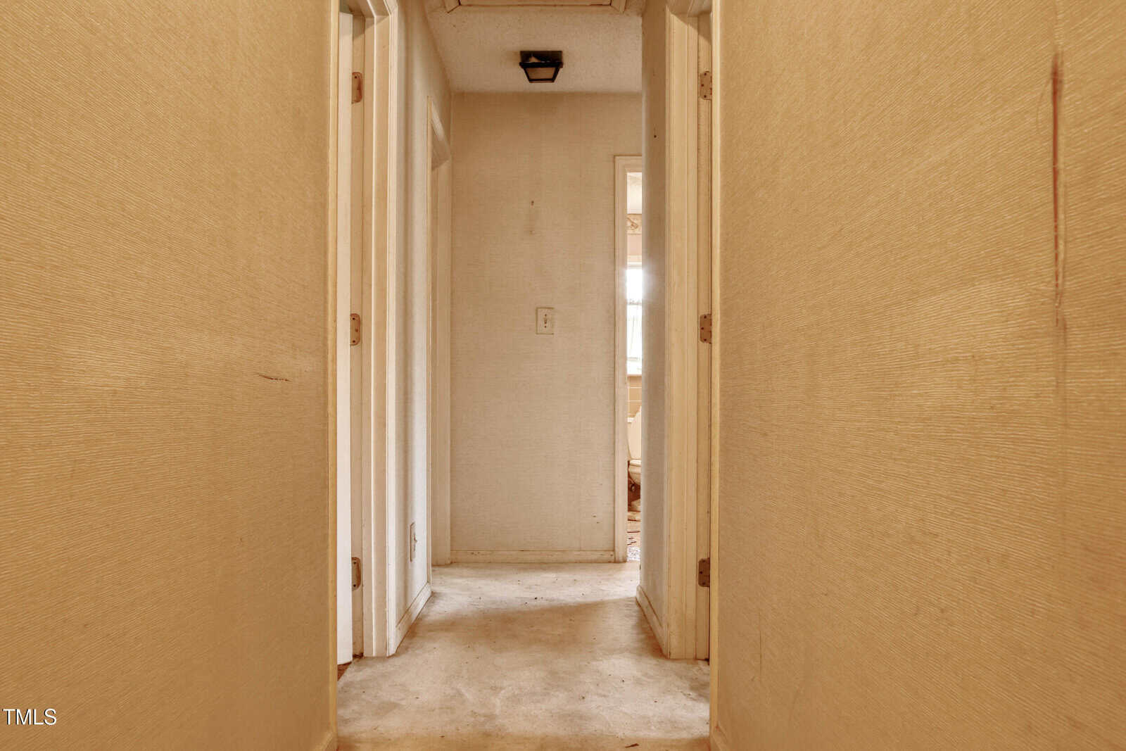 A narrow hallway with beige walls and a worn carpeted floor leads to a partially open door letting in natural light. The hallway has three doors on the left, one door on the right, and a ceiling light fixture.