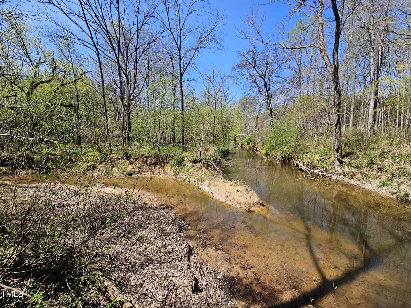 A small, clear stream winds through a forested area. Sparse tree coverage hints at early spring, with leaf buds visible. The sky is clear and blue. Some dry, sandy patches are visible along the stream bank. Shadows of trees fall across the water.
