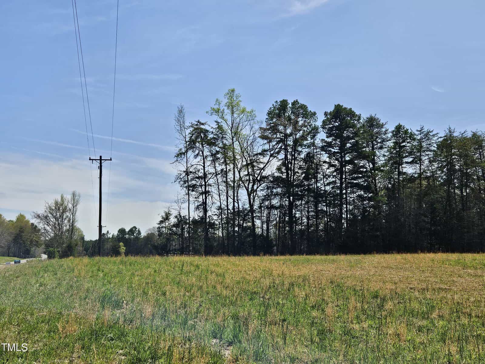 A grassy field under a clear blue sky with a line of tall trees at the edge. A utility pole with power lines is visible on the left.