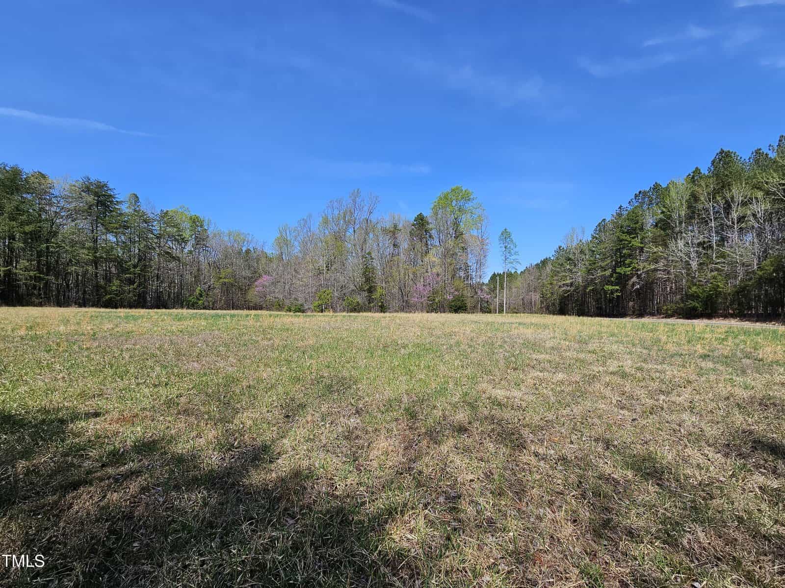 A vast open field with short grass stretches toward a line of trees under a clear blue sky. The trees vary in color, indicating different species and early spring growth. Shadows are cast across the grass, suggesting sunlight from a high angle.