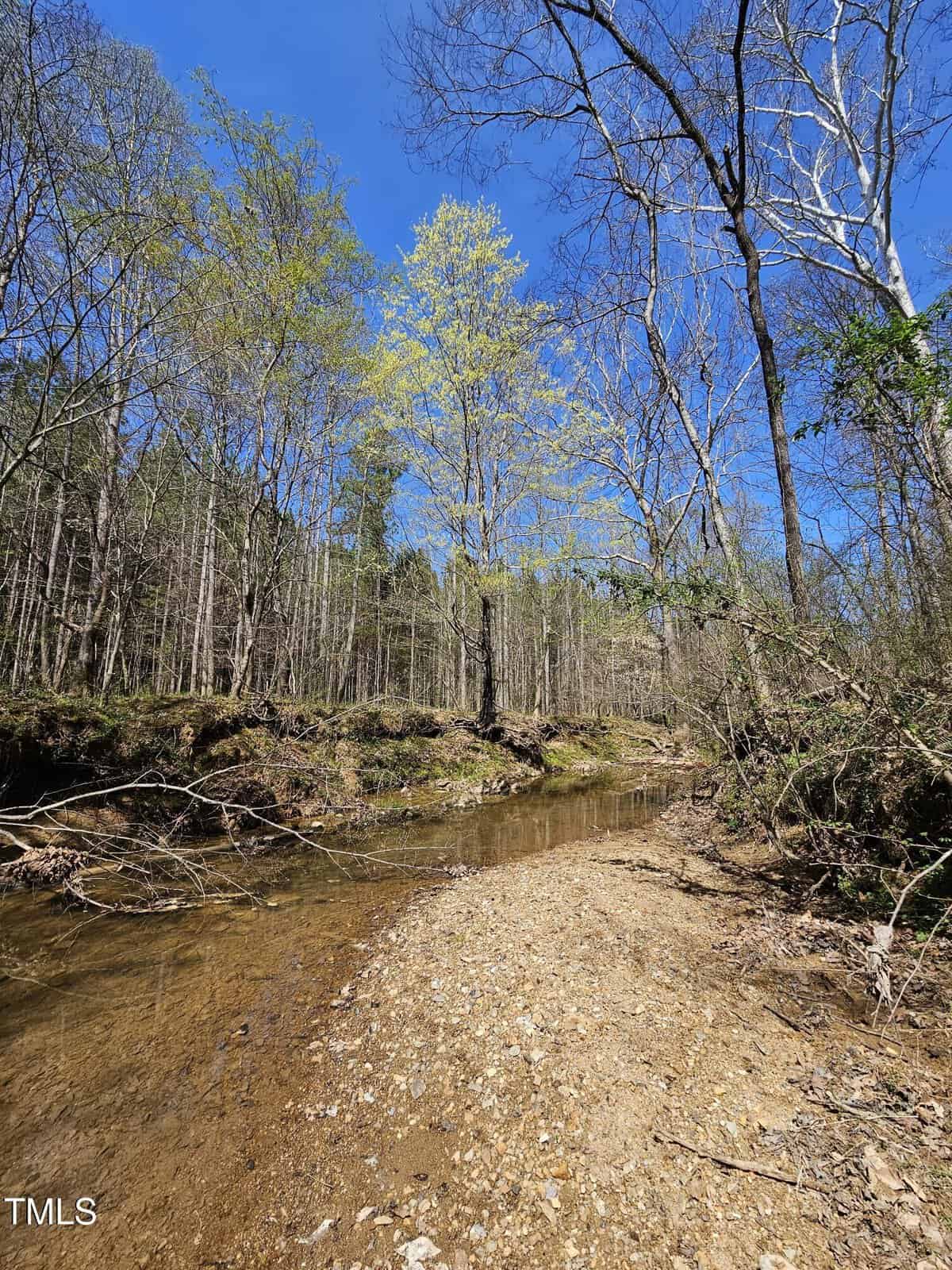 A small, clear stream flows alongside a pebbly bank in a forest. Bare trees and some with budding leaves stand under a clear blue sky, indicating early spring.