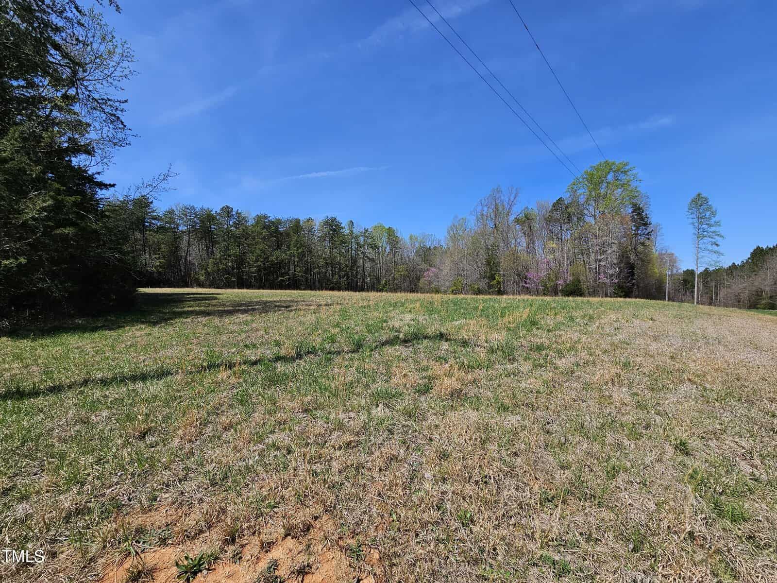 A grassy open field under a clear blue sky, bordered by a line of trees in the background. Power lines run across the sky, and patches of sunlight and shadow are visible on the ground.