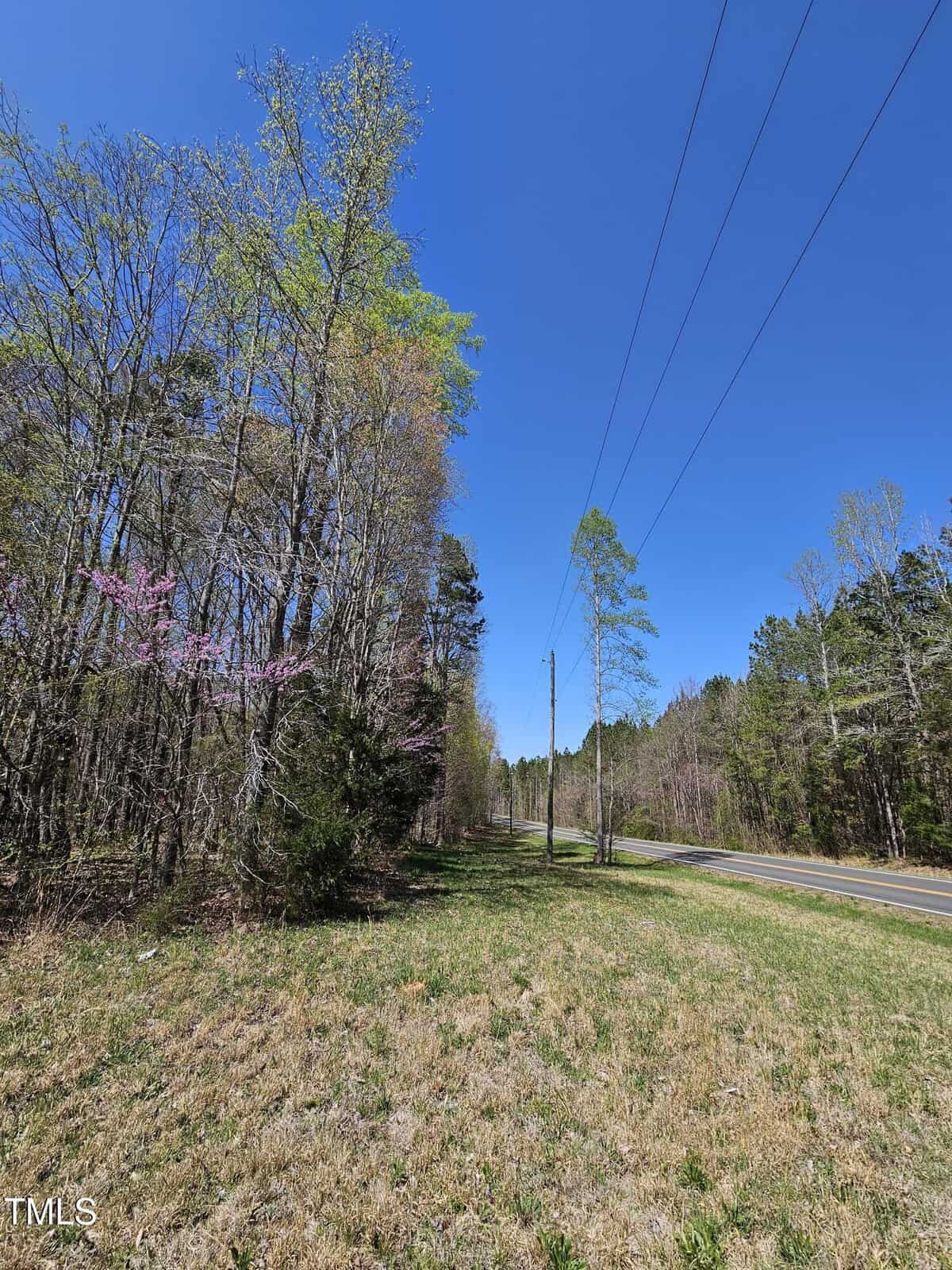 A rural landscape featuring a grassy field beside a two-lane road. Tall trees with some budding leaves line the roadside. Clear blue sky above, with power lines running parallel to the road. Sparse undergrowth is visible near the trees.