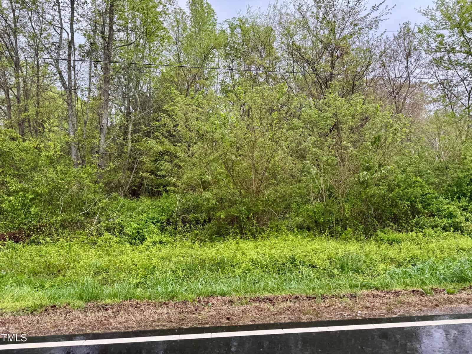 A roadside view along 632 Tungsten Mine Road features dense green foliage and trees under a cloudy sky near Townsville. The ground is partially covered with grass and bushes, with an asphalt road in the foreground.