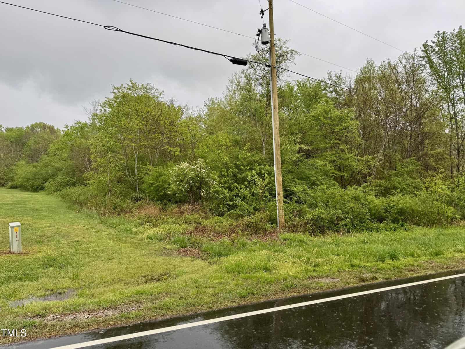 A roadside view shows a wet paved road bordering a grassy area with dense green trees and bushes. A wooden utility pole with electrical lines stands on the grass. The sky is overcast, indicating recent rain.
