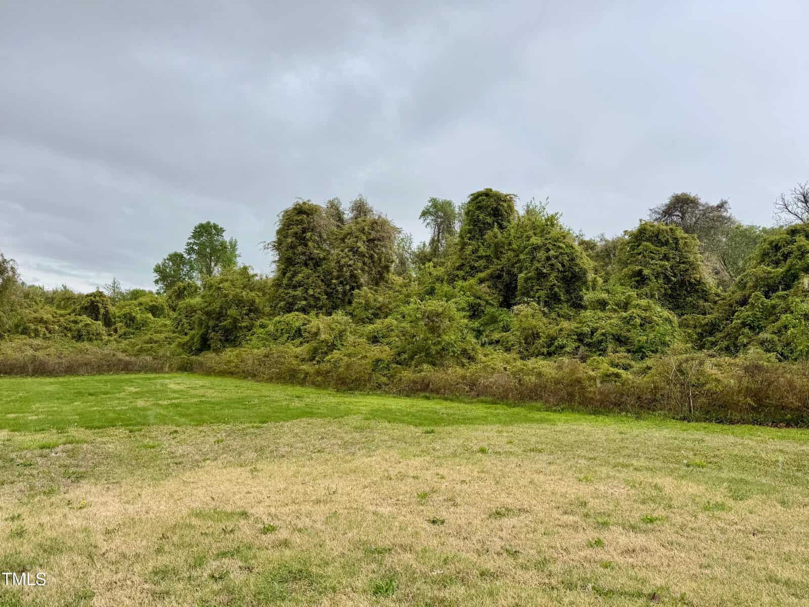 A grassy field stretches across the foreground, with a patch of yellowed grass near the bottom. Beyond the field, dense greenery extends to the horizon, under an overcast sky with gray clouds.