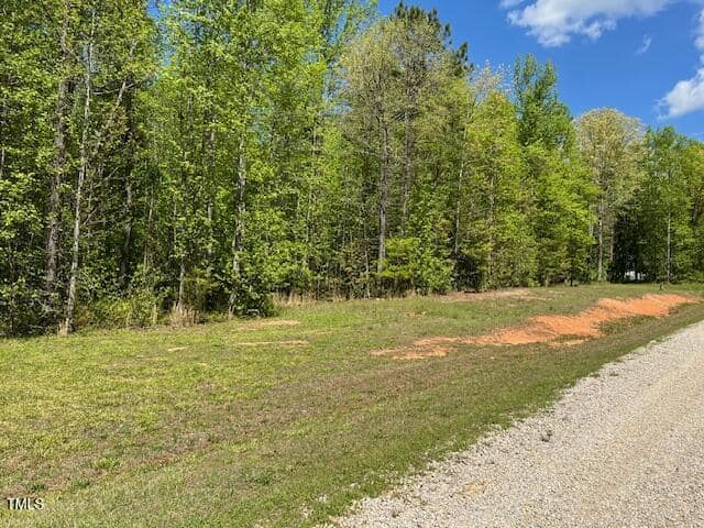 A gravel road runs alongside a grassy area and a dense line of green trees under a blue sky with scattered clouds. Some patches of bare earth are visible near the road.
