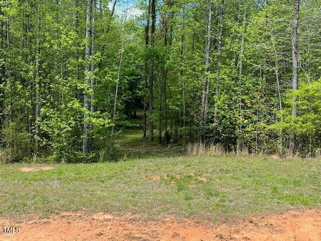 A clearing with patchy grass leads to a narrow dirt path going into a dense forest of tall, leafy green trees under a partly cloudy sky.