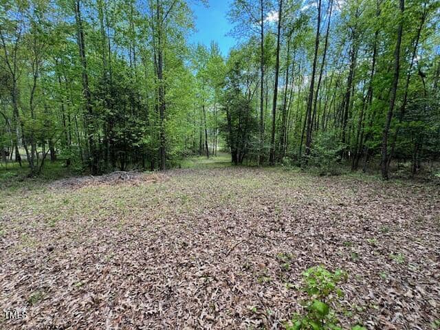 A clearing in a forested area with trees on both sides and a ground covered in dry leaves. The sky above is blue with some clouds, and there is a grassy path leading further into the woods.