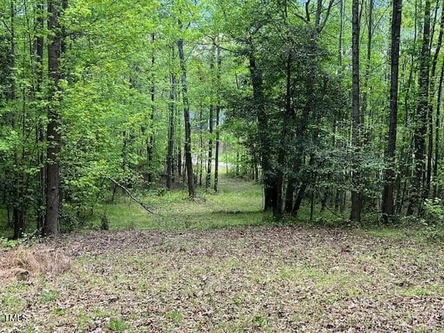 A narrow clearing or path runs through a dense, green forest with tall trees and leafy undergrowth. The ground is covered with grass and scattered dry leaves. Natural light filters through the trees.
